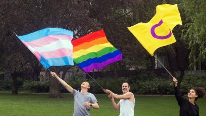 Drei Personen stehen auf einer Wiese und schwingen jeweils eine Pride-Flagge für trans, queere und intergeschlechtliche Menschen